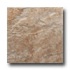 Tesoro Alpi 18 X 18 Noce Tile & Stone