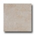 Emser Tile Belgio 20 X 20 Avorio Tile & Stone