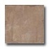 Pastorelli Sandstone 18 X 18 Anrochte Tile  and  Stone