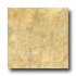 Diago Ceramicas Midwest Beige 13 X 13 Beige Tile  and