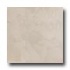 Crossville Buenos Aires Mood 12 X 24 Unpolished Polo Tile & Ston