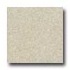 Santa Regina Architectural 24 X 24 (natural) Buttercream Terrazz