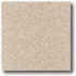 Daltile Vitrestone Select 12 X 12 Pale Rose Tile & Stone