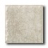 American Olean Sandy Ridge Mosaic Taupe Tile & Stone