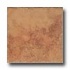 Geo Ceramiche Camelot 20 X 20 Cotto Tile  and  Stone