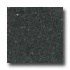 Santa Regina Architectural 24 X 24 (polished) Midnight Terrazzo