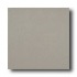 American Olean Quarry Naturals 8 X 8 Shadow Gray Tile & Stone