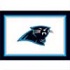 Milliken Carolina Panthers 8 X 11 Carolina Panthers Spirit Area