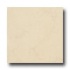 Ergon Tile Silk Marfil 16 X 16 Polished Bianco Sel