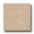 Wicanders Series 100 Personality With Wrt Champagn