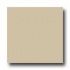 Daltile Design Porcelain Unpolished 8 X 8 Artico Tile & Stone