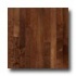 Robbins Urban Exotics Collection Plank Birch 3 1/4 Umber Hardwoo