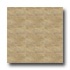 Mannington Monterey 6 X 6 Beige Tile & Stone
