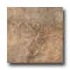Marazzi Forest Impressions 8 X 12 Noce Tile & Stone