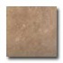 Tilecrest Travertino 20 X 20 Beige Tile & Stone