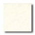 Daltile Capella 24 X 24 Gardini Blanco Tile & Stone