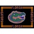 Logo Rugs Florida University Florida Area Rug 4 X 6 Area Rugs