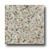 Santa Regina Architectural 24 X 24 (natural) Arctic Terrazzo Til