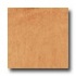 Bruce Turlington American Exotics Maple 5 Caramel Hardwood Floor
