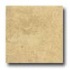 Daltile Diamante Polished 18 X 18 Sabbia Polished Tile & Stone