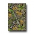 Milliken Mossy Oak Collection 4 X 5 Obs Solid Camo Area Rugs