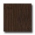 Teragren Signature Colors Horizontal Espresso Bamboo Flooring