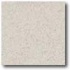 Daltile Porcealto (unpolished) 8 X 8 Bianco Castiglia Tile & Sto