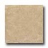 American Florim Vezelay 12 X 12 Dijon Tile & Stone
