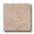 Tesoro Colorado 8 X 12 Noce Tile & Stone