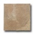 American Florim Truvian Stone 6 X 6 Noce Tile & Stone