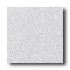 American Olean Terra Granite 8 X 8 Speckled Glacier Tile & Stone