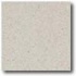 Daltile Porcealto (textured) 8 X 8 Bianco Apuania Tile & Stone