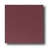 Daltile Designer Colours 8 X 8 Burgundy Tile & Stone