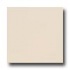 Interceramic Colours 8 X 8 White Pearl Tile & Stone