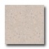Armstrong Excelon Companion Square Premium Multi Taupe Vinyl Flo
