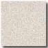 Armstrong Safeguard Hydro Slip-retardant Granite Vinyl Flooring