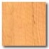 Congoleum Forum Plank - Brentwood Natural Vinyl Flooring