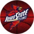 Logo Rugs Iowa State University Iowa State Basketball 4 Ft Area