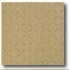 Daltile Suretread & Pavers 6 X 6 Golden Brown Suretread Tile & S