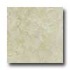 Portobello Jerusalem 12 X 12 Jerusalem White Tile & Stone