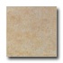 Laufen Tacoma 13 X 13 Caramel Tile & Stone