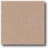 Daltile Porcealto (unpolished) 6 X 6 Rosa Antico Tile & Stone