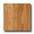Harris-tarkett Foundations American Natural Hardwood Flooring