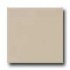 Daltile Modern Dimensions 2 1/8 X 8 1/2 Urban Putty Matte Tile &