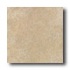 Daltile Alta Vista 12 X 12 Sunset Gold Tile & Stone