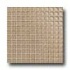 Daltile Maracas Glass Mosaics - Glossy Mushroom Tile & Stone