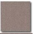 Daltile Porcealto (unpolished) 12 X 12 Grigio Scuro (graniti) Ti