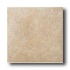 American Olean Vallano 18 X 18 Macadamia Tile & Stone