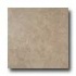 Iris Ceramica Earthstone 18 X 18 Brownstone Tile & Stone