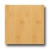 Teragren Craftsman Horizontal Natural Bamboo Flooring